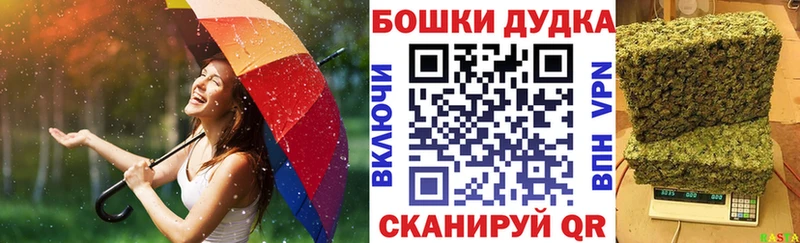 как найти наркотики  Иннополис  Конопля конопля 